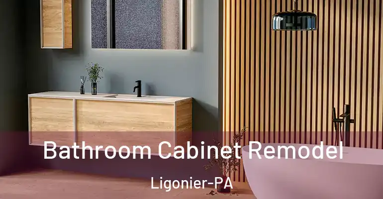 inner Bathroom imggen Bathroom Cabinet Remodel Ligonier-PA