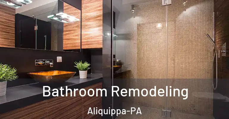 inner Bathroom imggen Bathroom Remodeling Aliquippa-PA