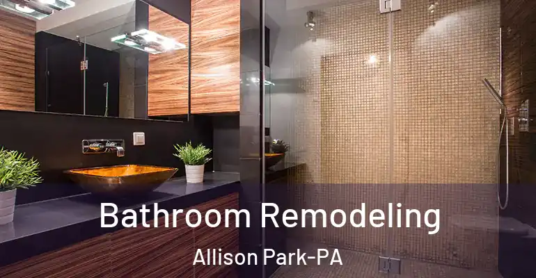 inner Bathroom imggen Bathroom Remodeling Allison Park-PA