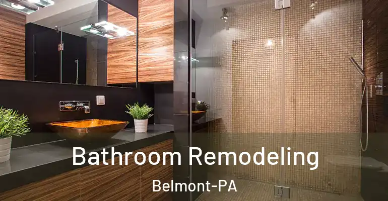 inner Bathroom imggen Bathroom Remodeling Belmont-PA