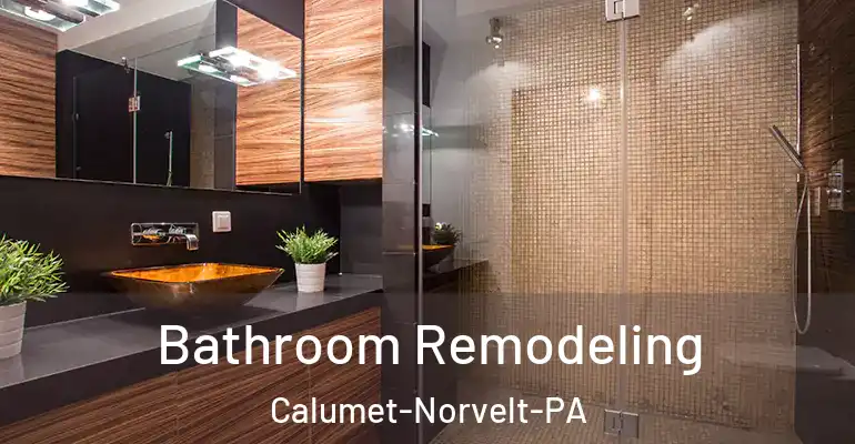 inner Bathroom imggen Bathroom Remodeling Calumet-Norvelt-PA