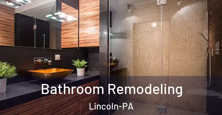 inner Bathroom imggen Bathroom Remodeling Lincoln-PA