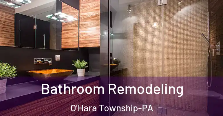 inner Bathroom imggen Bathroom Remodeling O'Hara Township-PA
