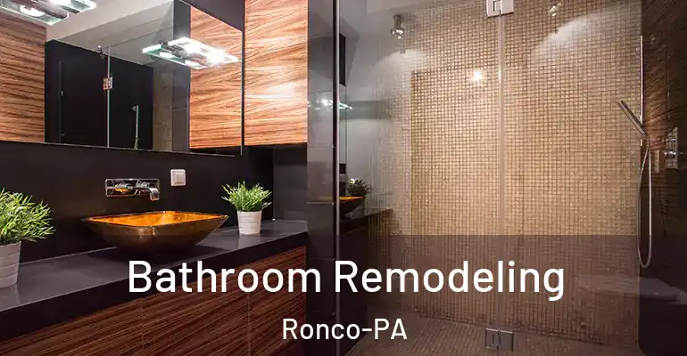 inner Bathroom imggen Bathroom Remodeling Ronco-PA