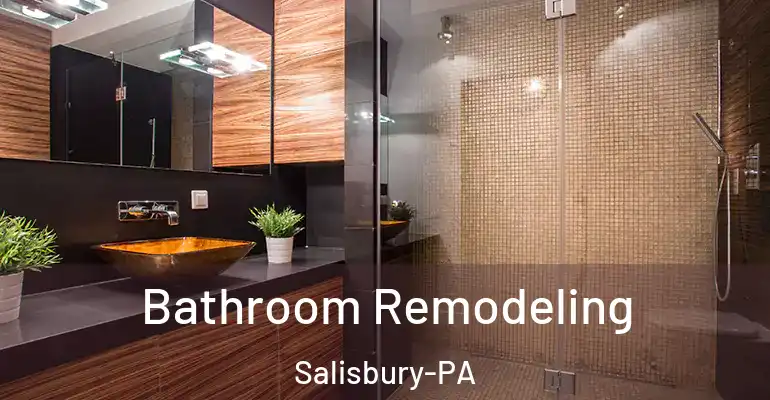inner Bathroom imggen Bathroom Remodeling Salisbury-PA