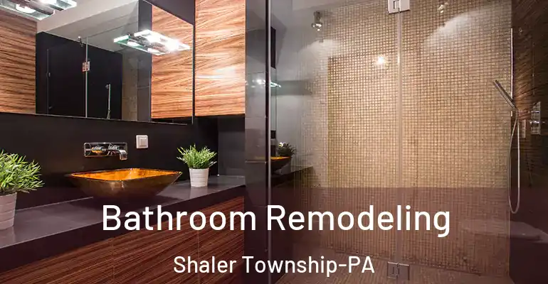 inner Bathroom imggen Bathroom Remodeling Shaler Township-PA