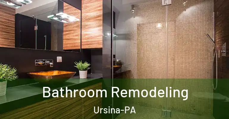 inner Bathroom imggen Bathroom Remodeling Ursina-PA