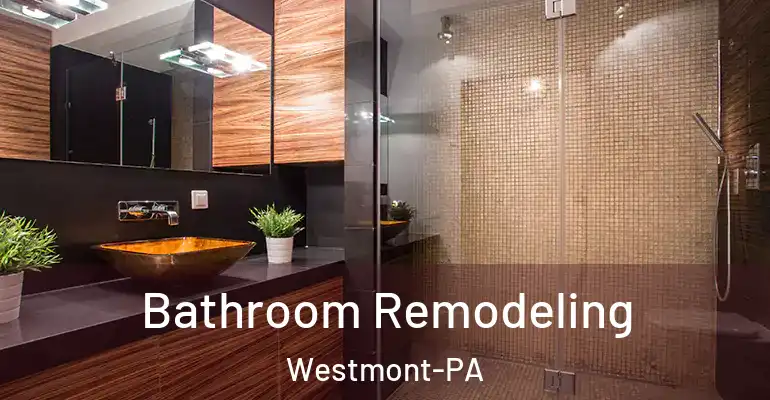 inner Bathroom imggen Bathroom Remodeling Westmont-PA