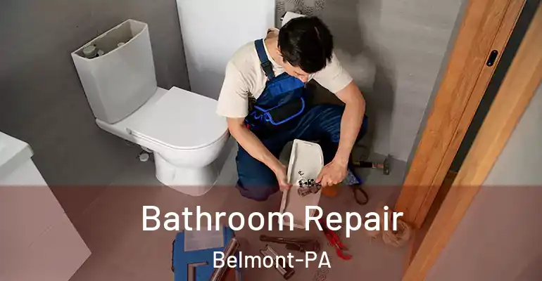 inner Bathroom imggen Bathroom Repair Belmont-PA
