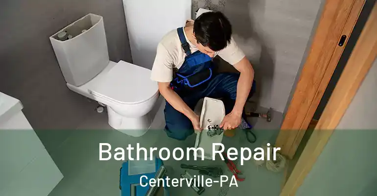 inner Bathroom imggen Bathroom Repair Centerville-PA
