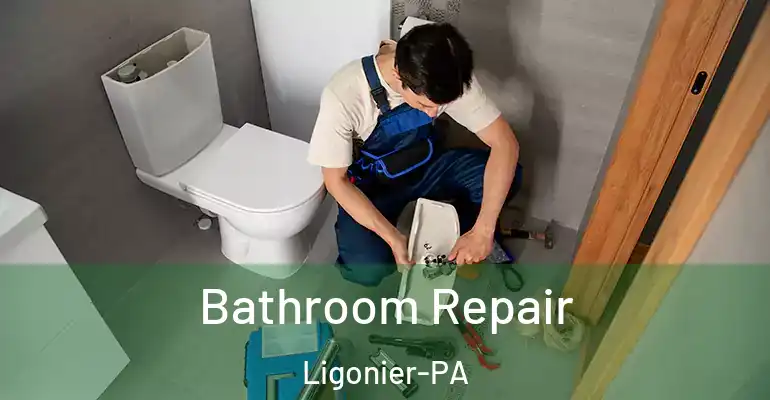 inner Bathroom imggen Bathroom Repair Ligonier-PA