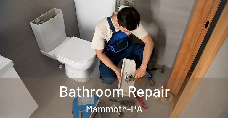 inner Bathroom imggen Bathroom Repair Mammoth-PA
