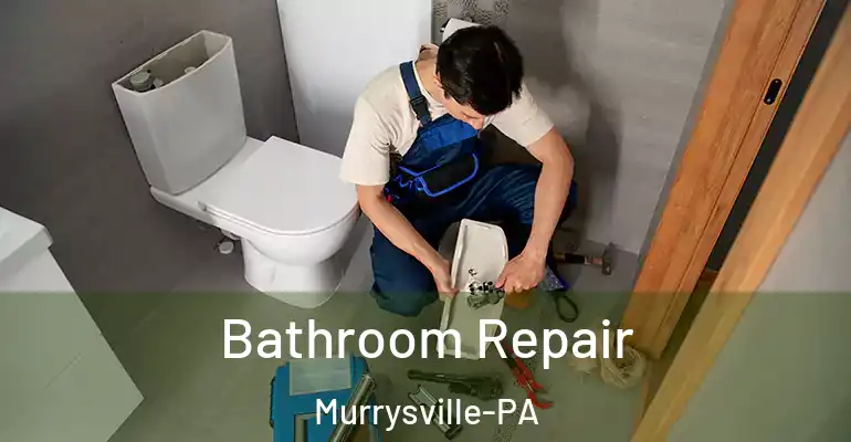 inner Bathroom imggen Bathroom Repair Murrysville-PA