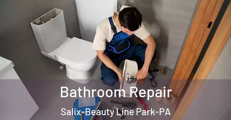 inner Bathroom imggen Bathroom Repair Salix-Beauty Line Park-PA