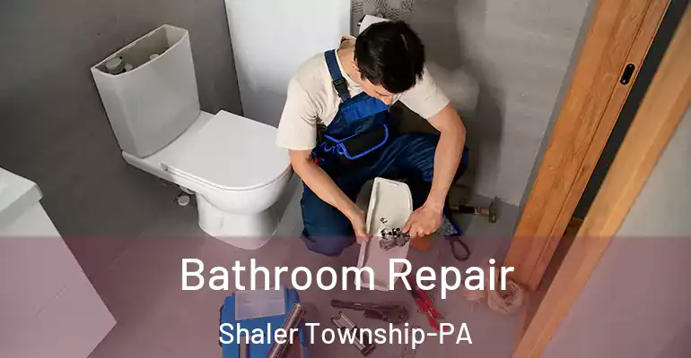 inner Bathroom imggen Bathroom Repair Shaler Township-PA