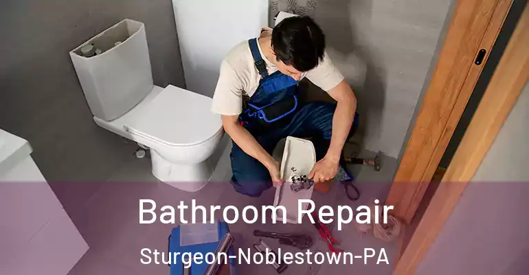 inner Bathroom imggen Bathroom Repair Sturgeon-Noblestown-PA