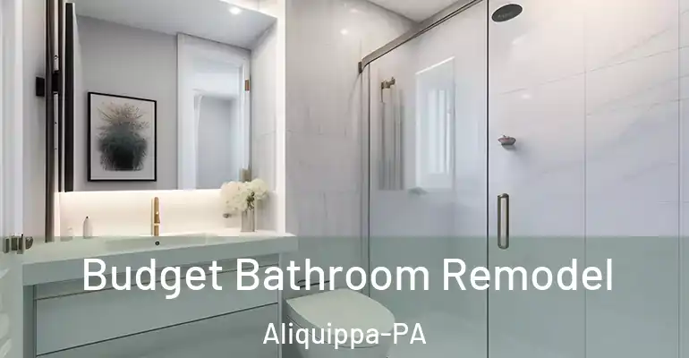 inner Bathroom imggen Budget Bathroom Remodel Aliquippa-PA