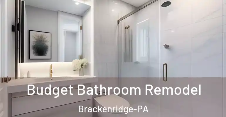 inner Bathroom imggen Budget Bathroom Remodel Brackenridge-PA