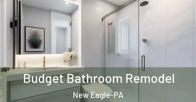 inner Bathroom imggen Budget Bathroom Remodel New Eagle-PA
