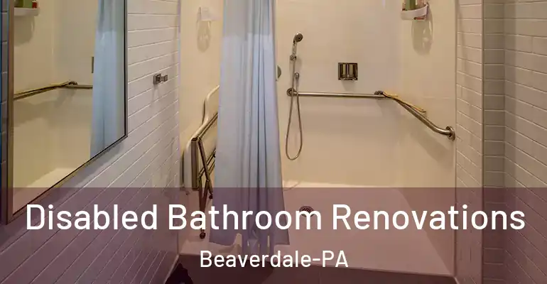 inner Bathroom imggen Disabled Bathroom Renovations Beaverdale-PA