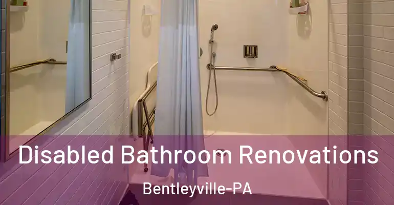 inner Bathroom imggen Disabled Bathroom Renovations Bentleyville-PA