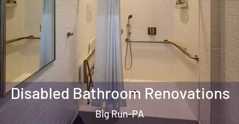inner Bathroom imggen Disabled Bathroom Renovations Big Run-PA