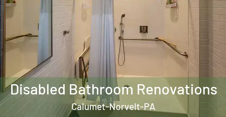 inner Bathroom imggen Disabled Bathroom Renovations Calumet-Norvelt-PA