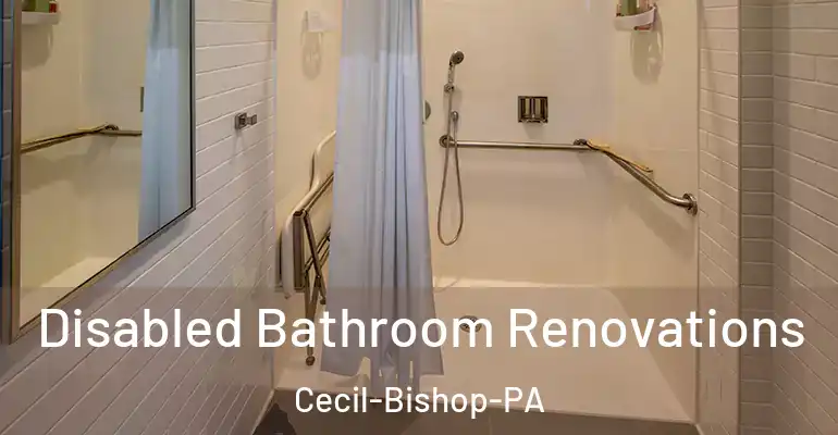 inner Bathroom imggen Disabled Bathroom Renovations Cecil-Bishop-PA
