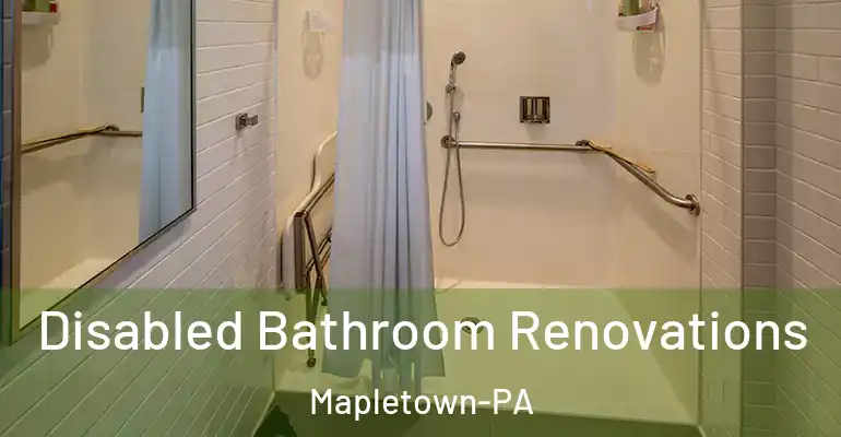inner Bathroom imggen Disabled Bathroom Renovations Mapletown-PA