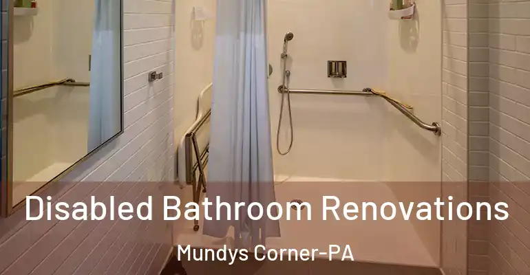 inner Bathroom imggen Disabled Bathroom Renovations Mundys Corner-PA