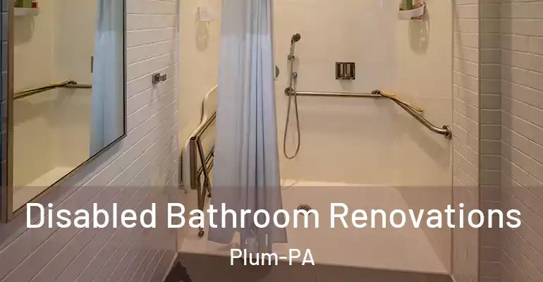 inner Bathroom imggen Disabled Bathroom Renovations Plum-PA