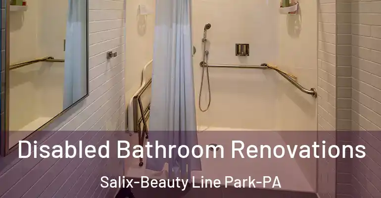 inner Bathroom imggen Disabled Bathroom Renovations Salix-Beauty Line Park-PA