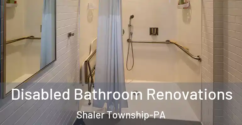 inner Bathroom imggen Disabled Bathroom Renovations Shaler Township-PA