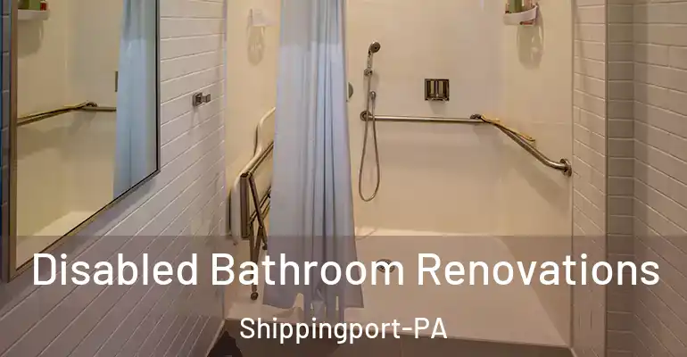 inner Bathroom imggen Disabled Bathroom Renovations Shippingport-PA