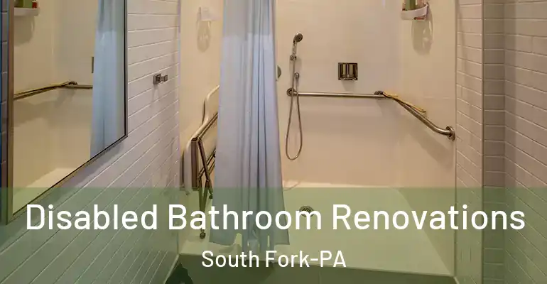 inner Bathroom imggen Disabled Bathroom Renovations South Fork-PA