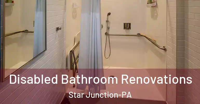 inner Bathroom imggen Disabled Bathroom Renovations Star Junction-PA