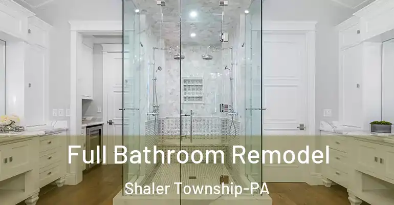 inner Bathroom imggen Full Bathroom Remodel Shaler Township-PA