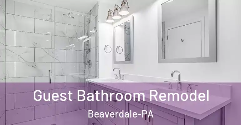 inner Bathroom imggen Guest Bathroom Remodel Beaverdale-PA