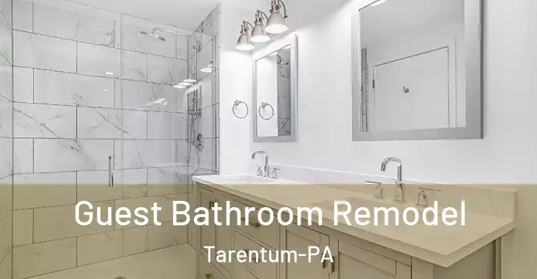 inner Bathroom imggen Guest Bathroom Remodel Tarentum-PA
