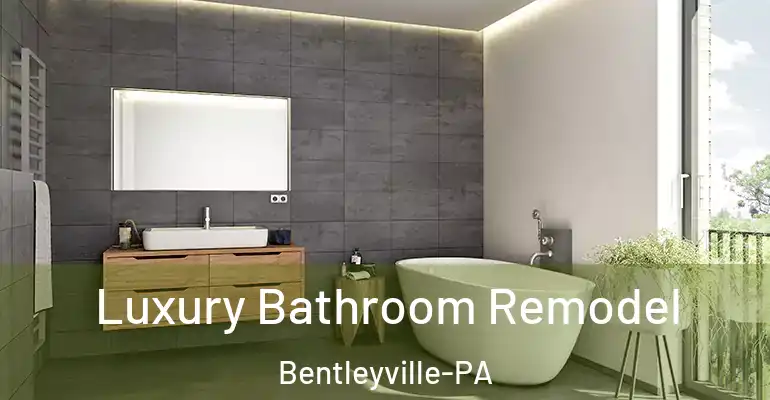 inner Bathroom imggen Luxury Bathroom Remodel Bentleyville-PA