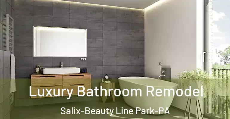 inner Bathroom imggen Luxury Bathroom Remodel Salix-Beauty Line Park-PA