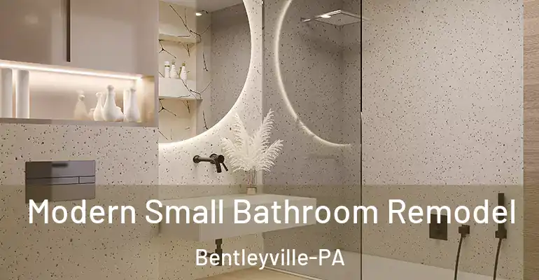 inner Bathroom imggen Modern Small Bathroom Remodel Bentleyville-PA