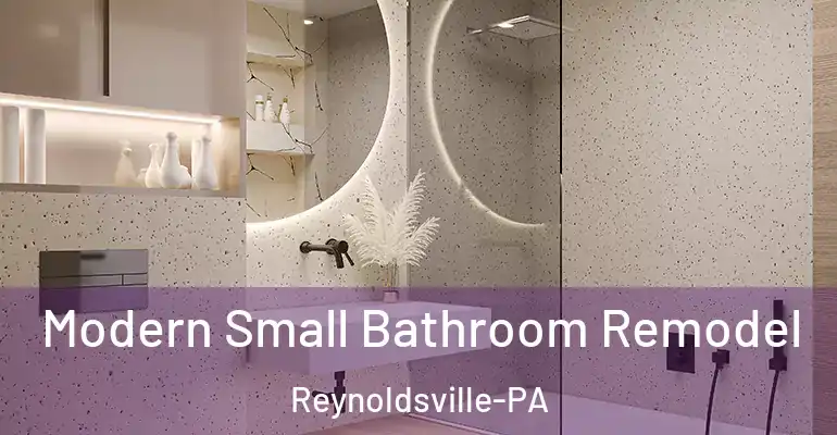 inner Bathroom imggen Modern Small Bathroom Remodel Reynoldsville-PA