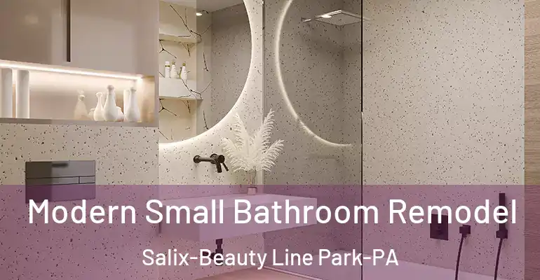 inner Bathroom imggen Modern Small Bathroom Remodel Salix-Beauty Line Park-PA