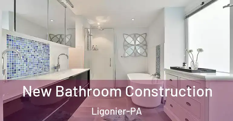 inner Bathroom imggen New Bathroom Construction Ligonier-PA