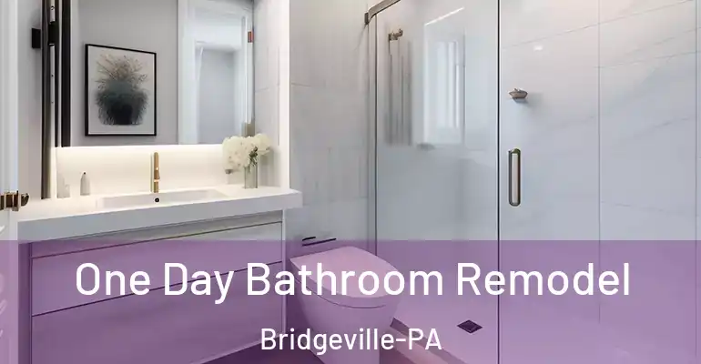 inner Bathroom imggen One Day Bathroom Remodel Bridgeville-PA