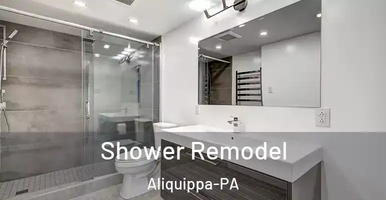 inner Bathroom imggen Shower Remodel Aliquippa-PA