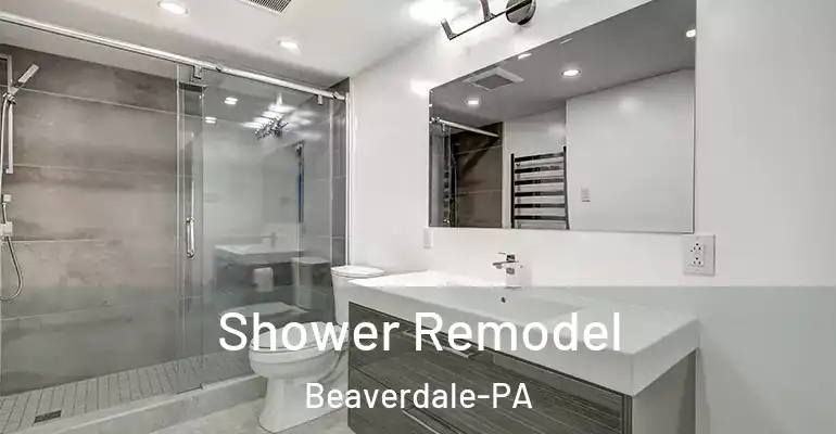 inner Bathroom imggen Shower Remodel Beaverdale-PA