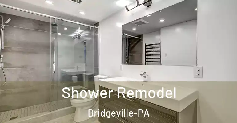 inner Bathroom imggen Shower Remodel Bridgeville-PA