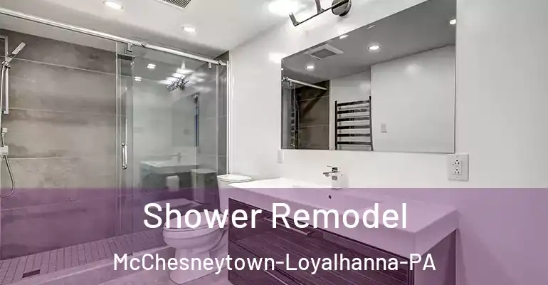 inner Bathroom imggen Shower Remodel McChesneytown-Loyalhanna-PA
